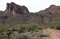 IMG_5806.JPG Photo