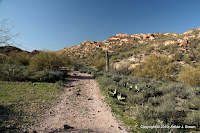 IMG_7175.JPG Photo