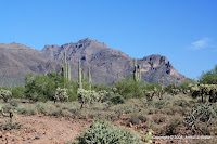 IMG_1491.JPG Photo