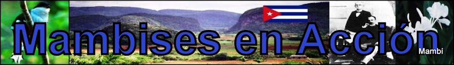 Mis Blogs
