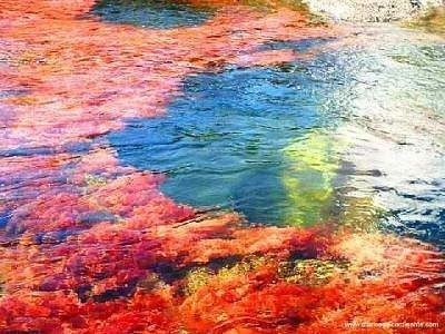 [2524572980105960926S425x425Q85[3].jpg]