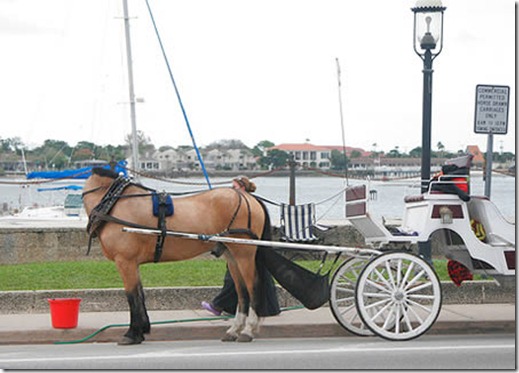 a96986_a607_11-horse-headless a96986_a607_11-horse-headless