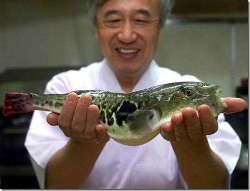 fugu