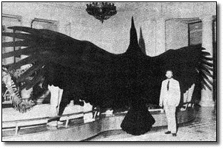 [196023.jpg]