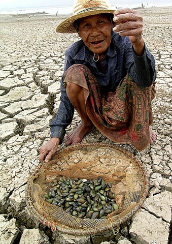 [amidst-scorching-heat-an-elde-2[3].jpg]
