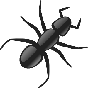 [digitalant3.png]