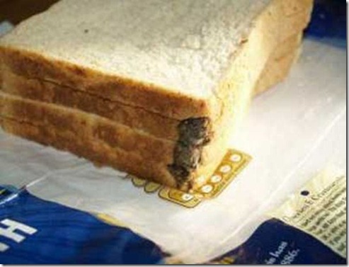 mouse_in_loaf_of_bread_03