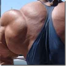 muscul200