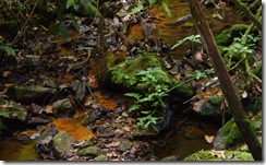 naturesa