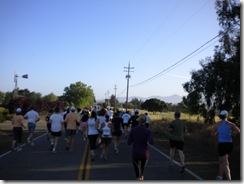 2010 SB Wine Country Half Marathon 008