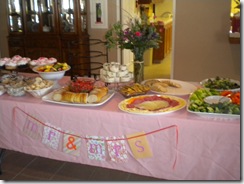 05.08.10 Erika's Wedding Shower 002