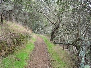 [DSC05070[2].jpg]