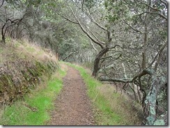 DSC05070