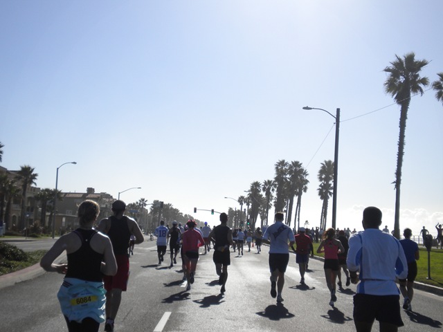 [Picture1 105[2].jpg]
