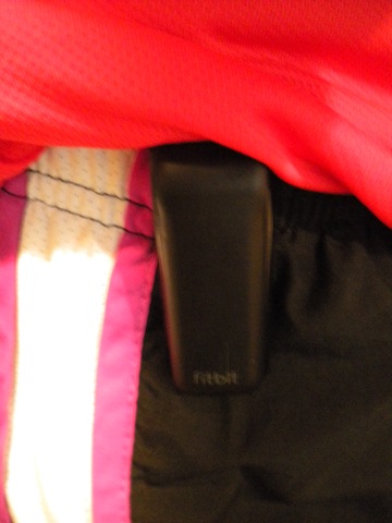 [fitbit 002[2].jpg]