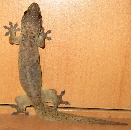 [124389011866051[3].jpg]