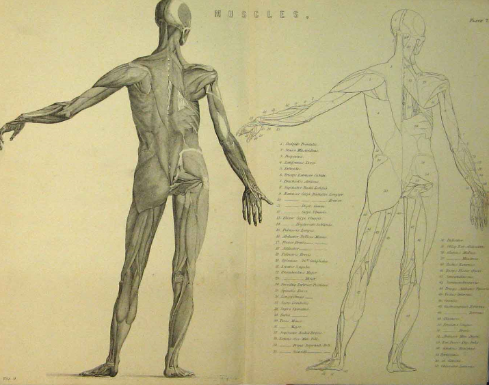 [image4.png]