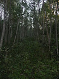 P1040443.JPG
