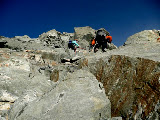 P1060993.jpg