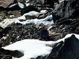 P1000763.jpg