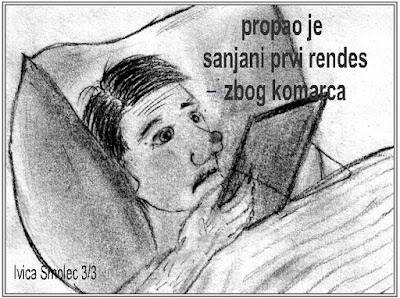 Haiga niz Komarac 3/3