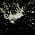 Through the Lenga Trees
