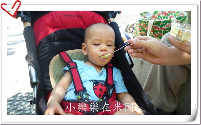 P1010489-
