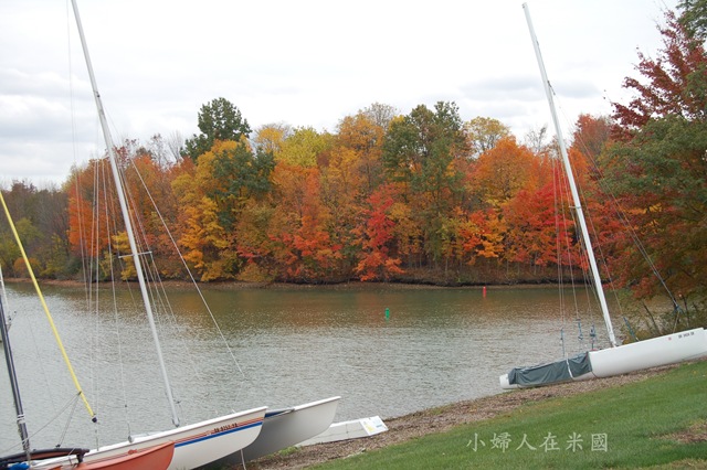 [DSC_03553.jpg]
