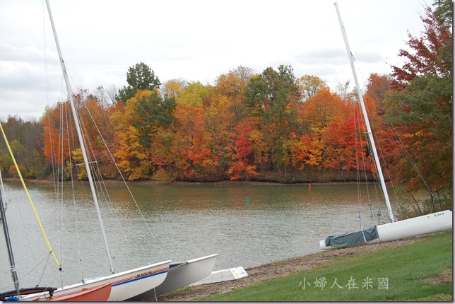 DSC_0355- DSC_0355-