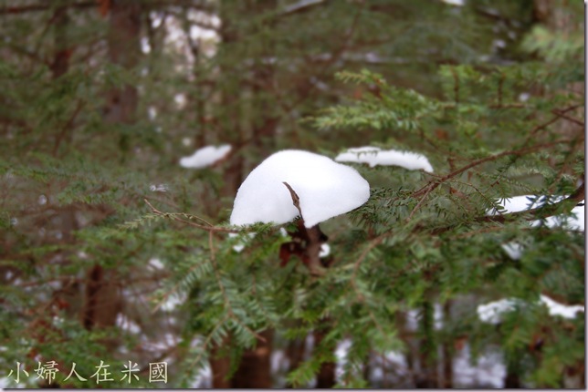 DSC_4185-- DSC_4185--