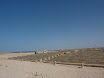 P1040650.JPG