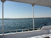 P1040544.JPG