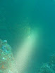 P1050150.JPG