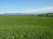 P1050375.JPG