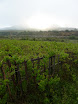 P1050573.JPG