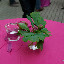 2010-05-29 Empfang zum Jubiläum (50).JPG