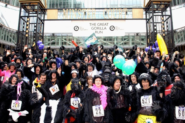 [gorillarun[6].jpg]