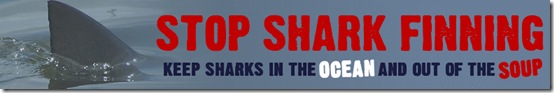 shark-finning-banner