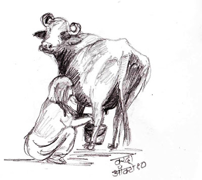 रशियन बाहुल्या