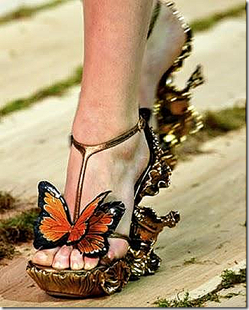butterflyy butterflyy