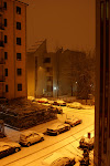 DSC05425(2).JPG