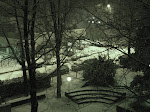 DSC05455.JPG