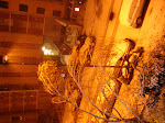 DSC05498.JPG