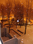 DSC05510.JPG