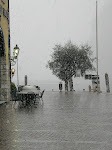 DSCN0783.JPG