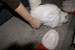 DSC05049.JPG