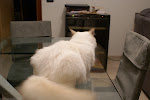 DSC05103.JPG
