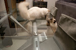 DSC05109.JPG