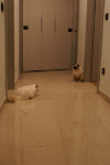 DSC05123.JPG