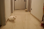 DSC05126.JPG